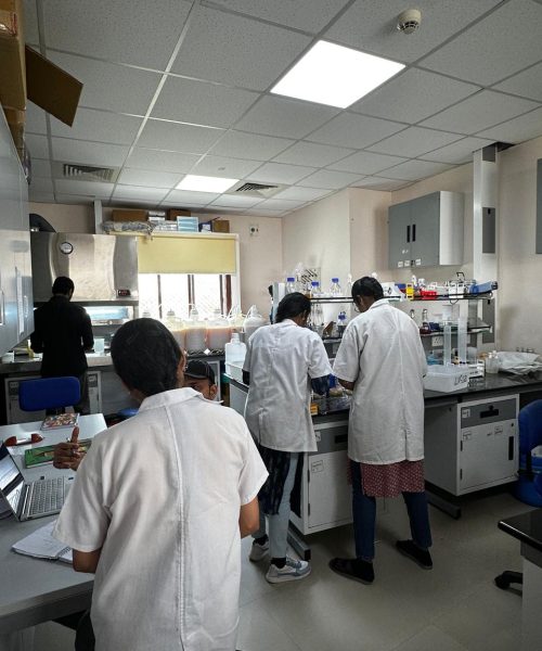 dascientbio updated images19